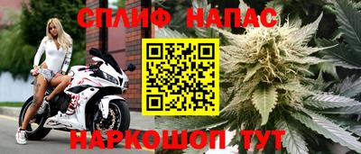 ALPHA PVP Краснознаменск
