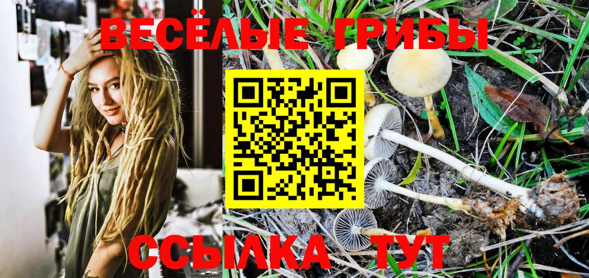 наркошоп  Псилоцибиновые грибы Psilocybine cubensis  Псилоцибиновые грибы прущие грибы  Вход с VPN  Дюртюли 