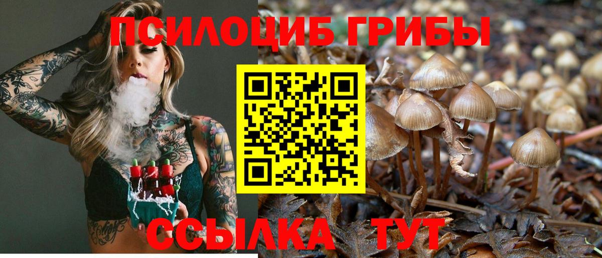 Галлюциногенные грибы мицелий Дюртюли