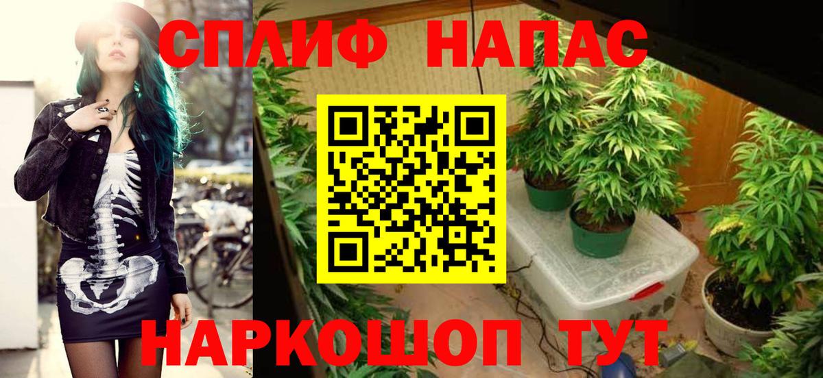 Дюртюли  Марихуана план  Шишки марихуана тримм  Вход с VPN  Каннабис ГИДРОПОН 